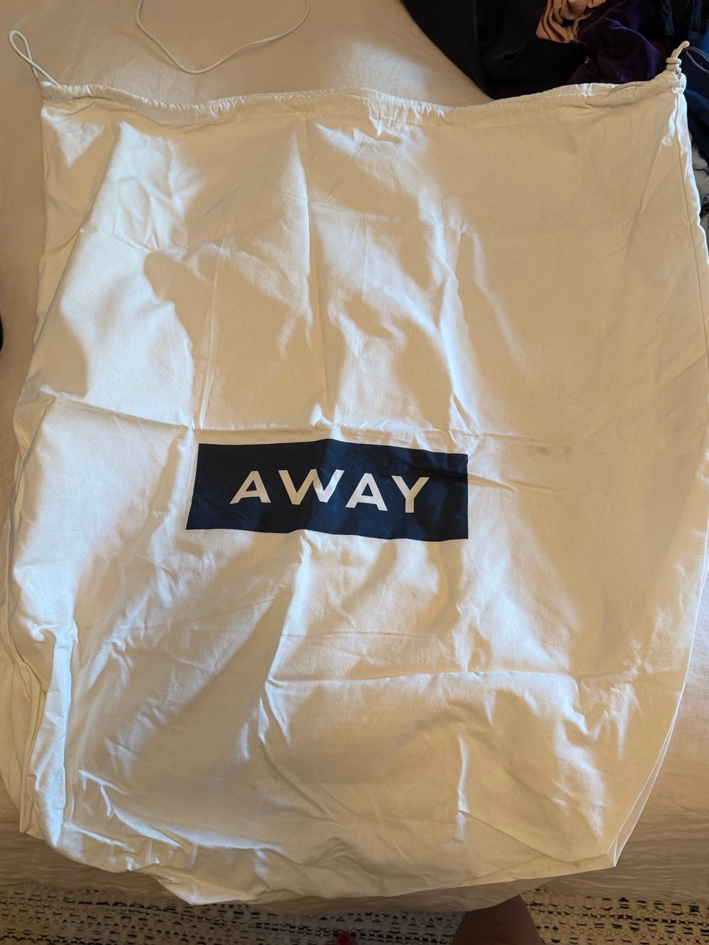 Away Luggage Size Large Dust Bag